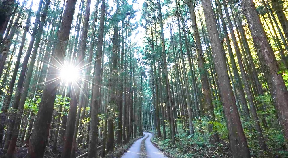龍の国オートキャンプ場