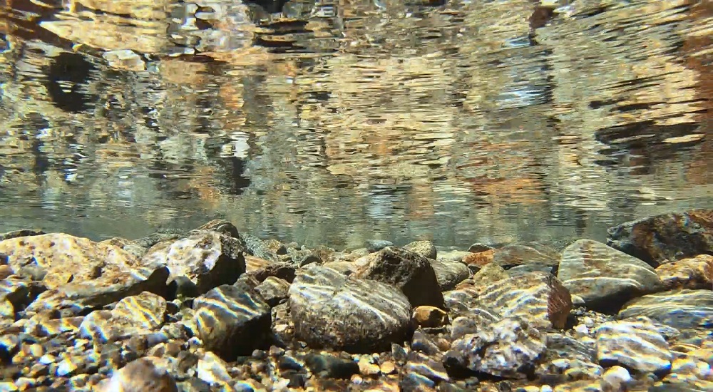 龍の国オートキャンプ場