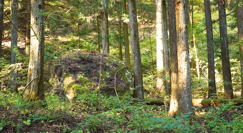 龍の国オートキャンプ場62