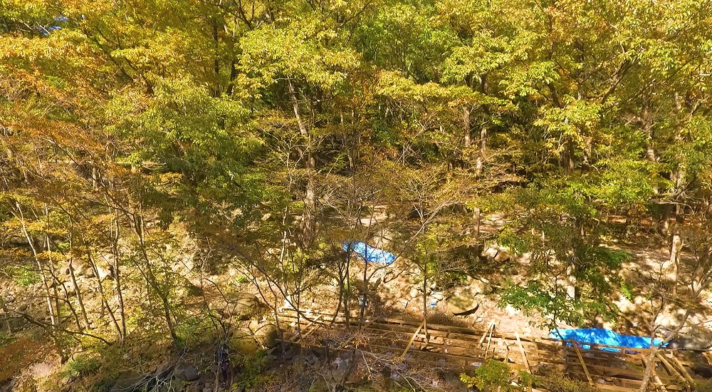 龍の国オートキャンプ場