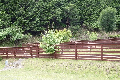 ウエストリバーオートキャンプ場看板