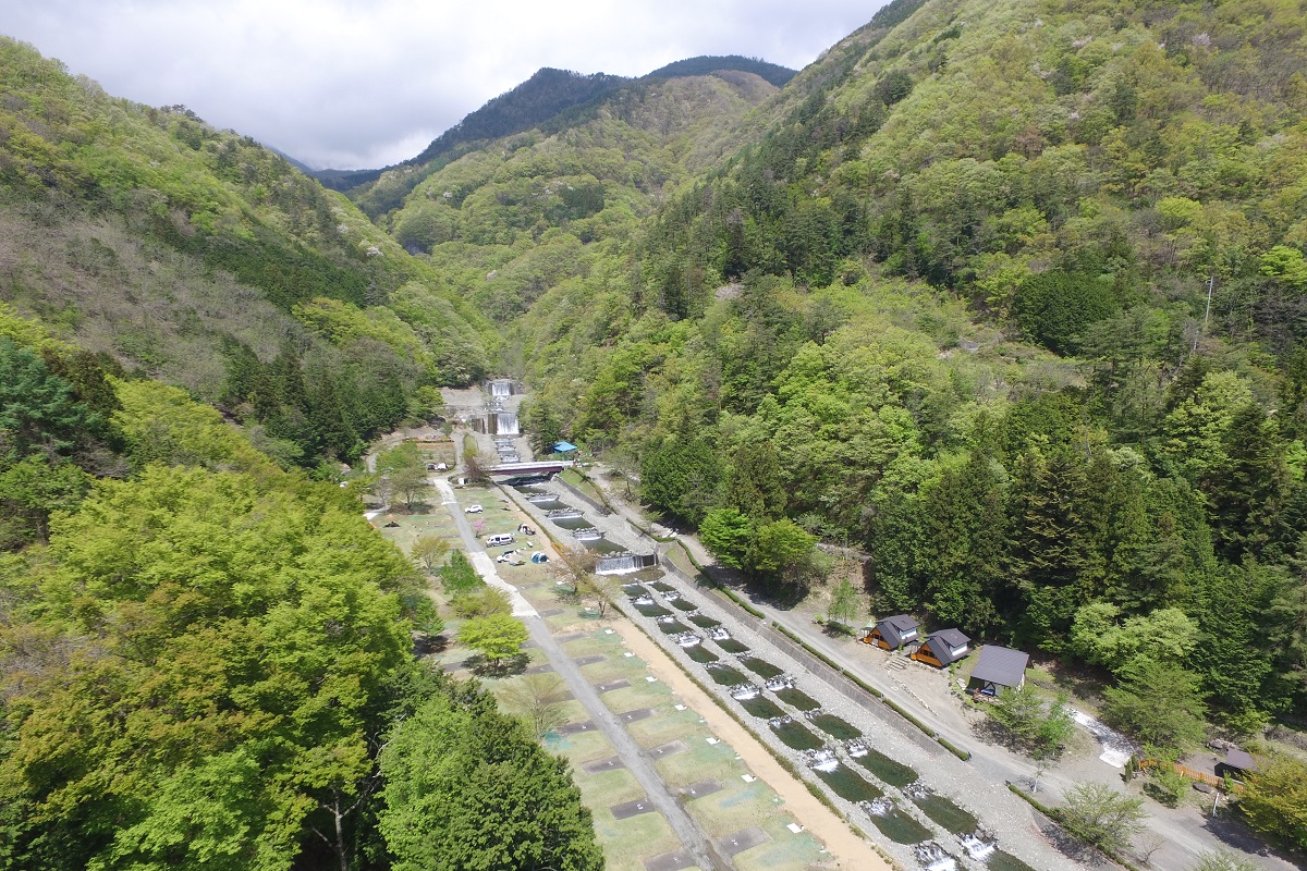 ウエストリバーオートキャンプ場