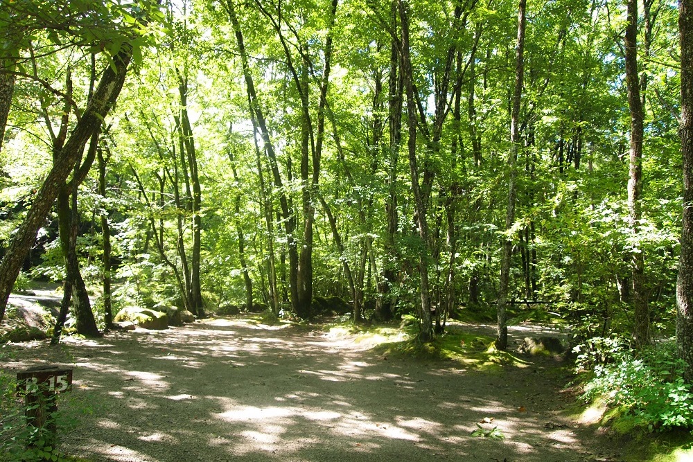 南アルプス三景園オートキャンプ場