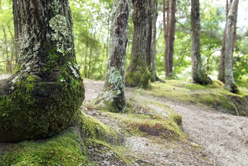 南アルプス三景園オートキャンプ場