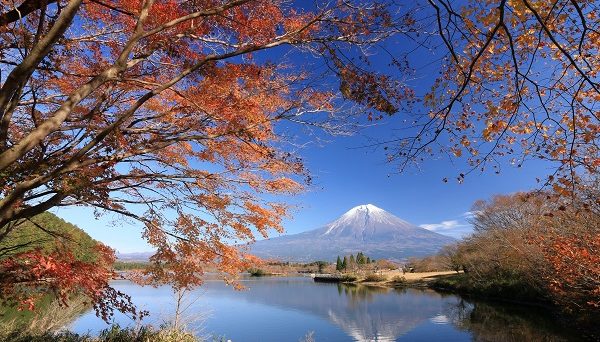田貫湖キャンプ場