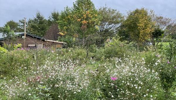 ルーデンス農場 ASOBITO CAMP FIELD