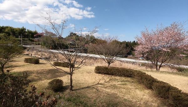 CAMP & CHEERS KANESHIGE(キャンプ&チアーズ カネシゲ) CAMP & CHEERS KANESHIGE(キャンプ&チアーズ カネシゲ)