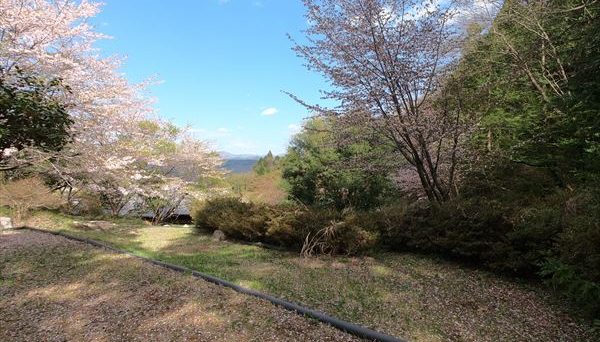 CAMP & CHEERS KANESHIGE(キャンプ&チアーズ カネシゲ) CAMP & CHEERS KANESHIGE(キャンプ&チアーズ カネシゲ)