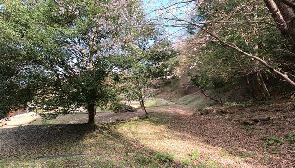 CAMP & CHEERS KANESHIGE(キャンプ&チアーズ カネシゲ) CAMP & CHEERS KANESHIGE(キャンプ&チアーズ カネシゲ)