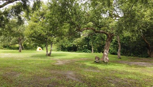 庄助キャンプ場