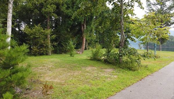 桧原西湖畔オートキャンプ場