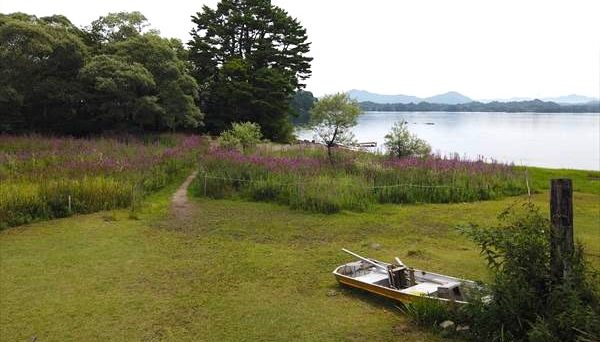 牧場キャンプ場