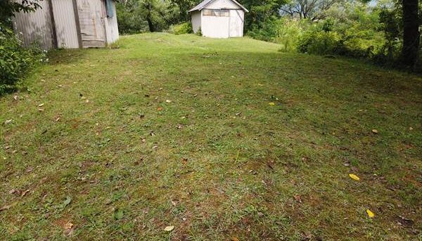 牧場キャンプ場