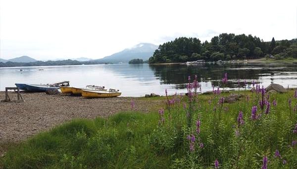 牧場キャンプ場