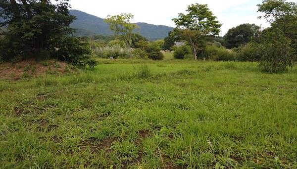 はれがさやアクティビティーズ（旧：もくもく自然塾）