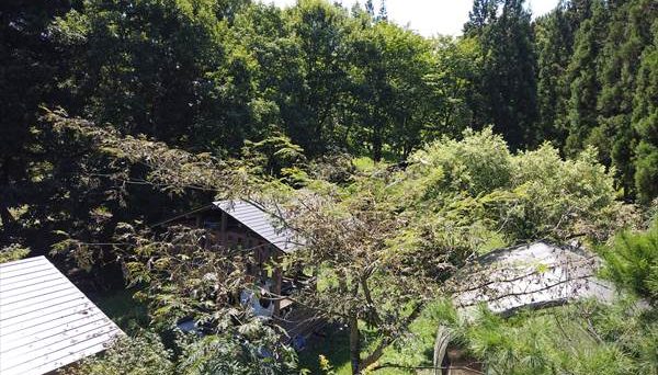 會津いろり山キャンプ場