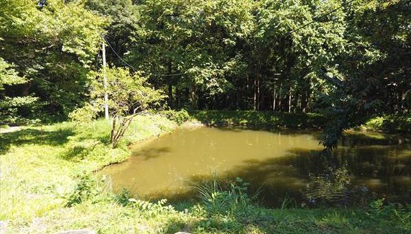 會津いろり山キャンプ場