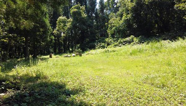 會津いろり山キャンプ場