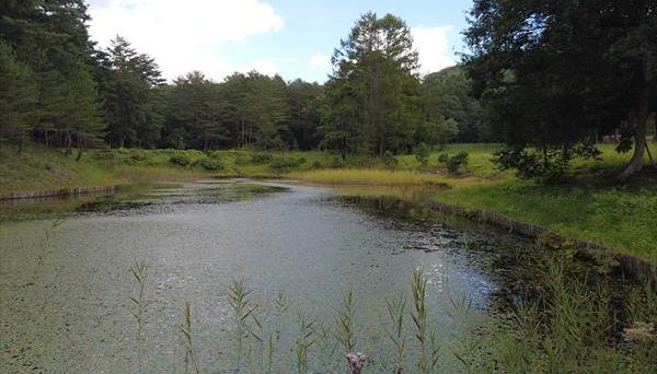 奥会津 昭和の森キャンプ場