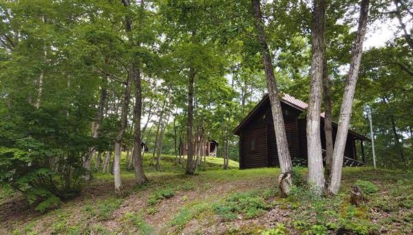 奥会津 昭和の森キャンプ場