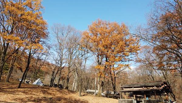 八風平キャンプ場