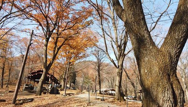 八風平キャンプ場