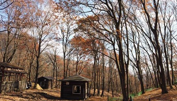 八風平キャンプ場