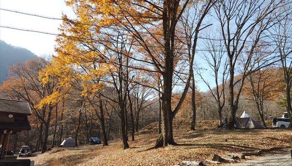 八風平キャンプ場