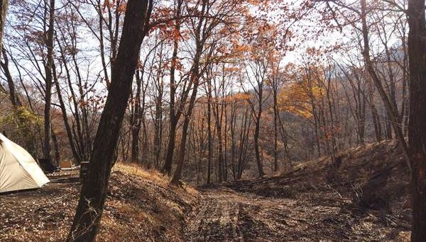 八風平キャンプ場