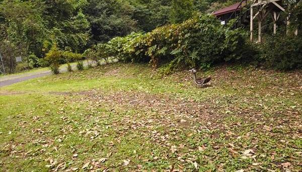 新治ファミリーランド