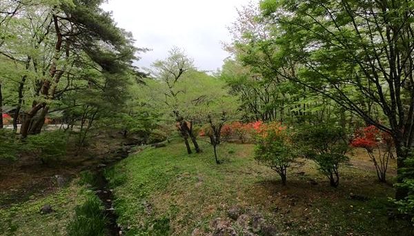 日光だいや川公園オートキャンプ場