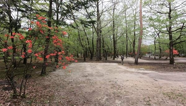 日光だいや川公園オートキャンプ場