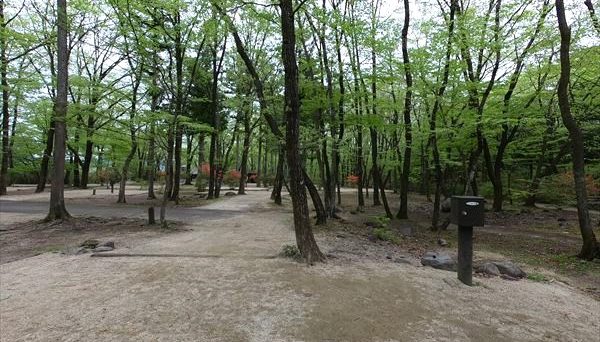 日光だいや川公園オートキャンプ場