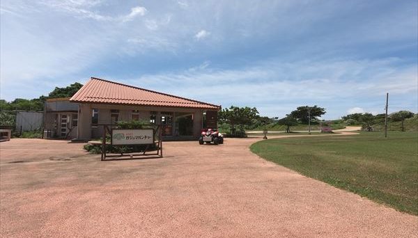 ガジュマルキャンプ ガジュマルキャンプ