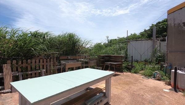 ガジュマルキャンプ ガジュマルキャンプ