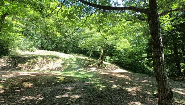 大池いこいの森キャンプ場