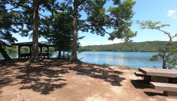 大池いこいの森キャンプ場