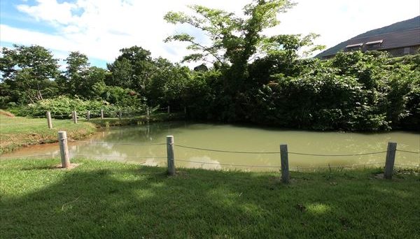 南葉高原キャンプ場 南葉高原キャンプ場