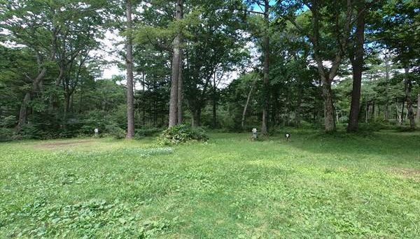 戸隠イースタンキャンプ場