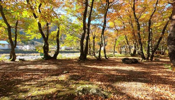 白川郷ひらせ温泉キャンプサイト