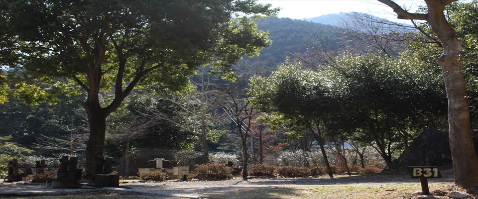 グリーンランドあさけ