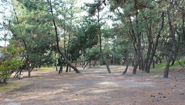 大洗サンビーチキャンプ場