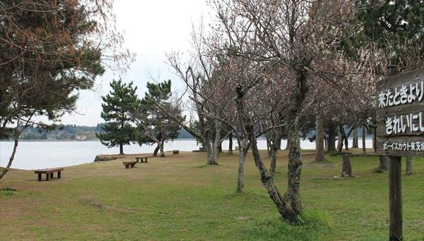 親沢公園キャンプ場