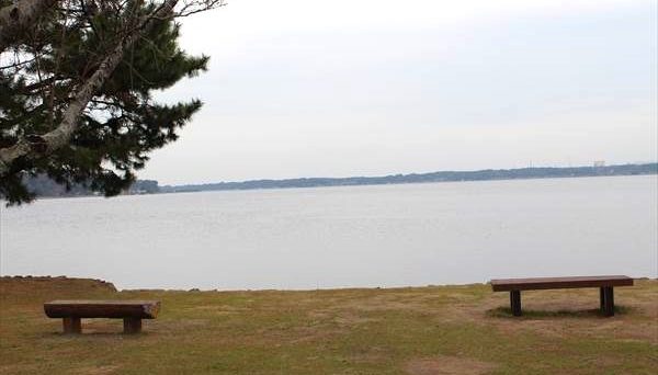 親沢公園キャンプ場