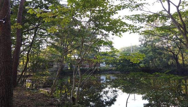 NASU BASE Queen’s Mountain CAMP & LODGE NASU BASE Queen’s Mountain CAMP & LODGE