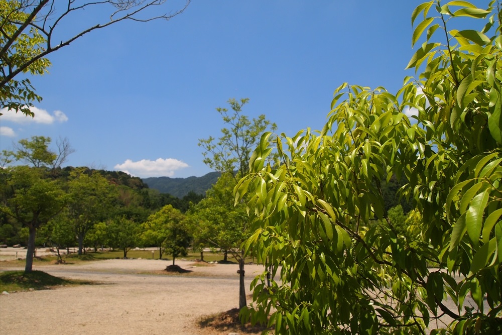 OKオートキャンプ場