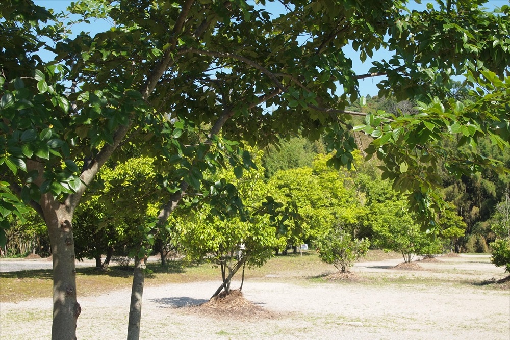 OKオートキャンプ場