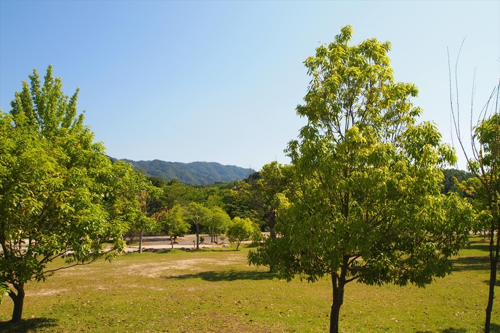 OKオートキャンプ場