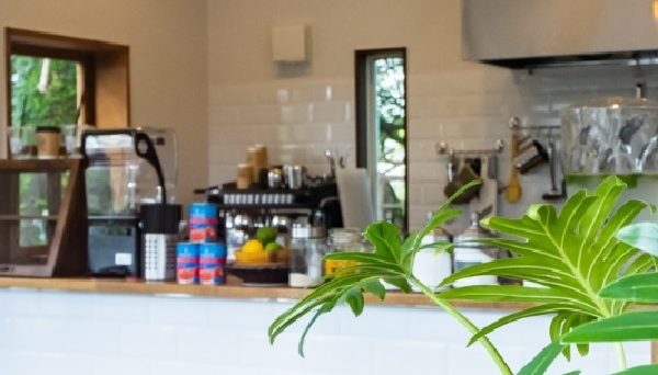 鴨川シ―リゾート　STAY GOLD