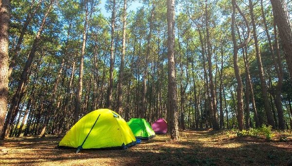 TOCORO. Mt.Fuji CAMP＆GLAMPING